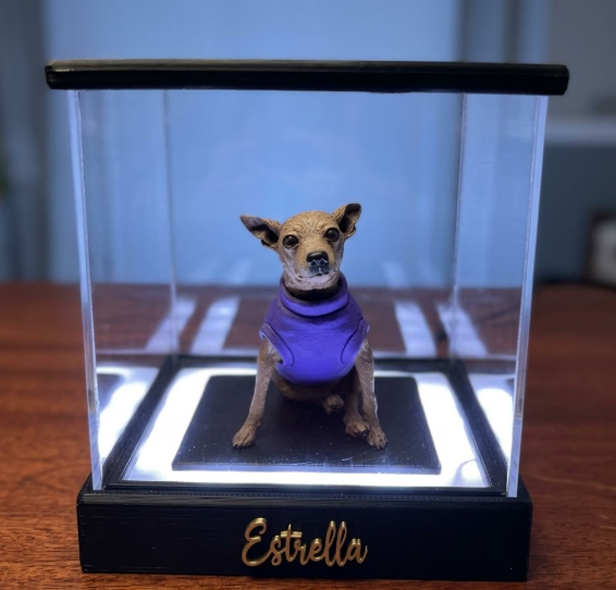 Vitrina premium FlippArt con figura iluminada de Estrella dentro de urna LED